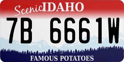 ID license plate 7B6661W