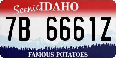 ID license plate 7B6661Z