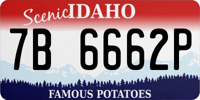 ID license plate 7B6662P