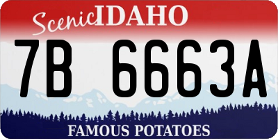 ID license plate 7B6663A