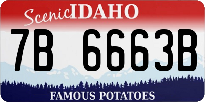 ID license plate 7B6663B