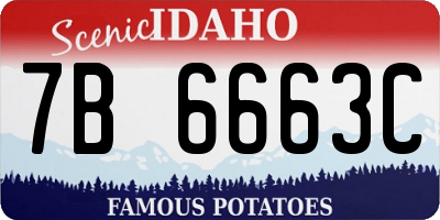 ID license plate 7B6663C