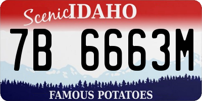 ID license plate 7B6663M