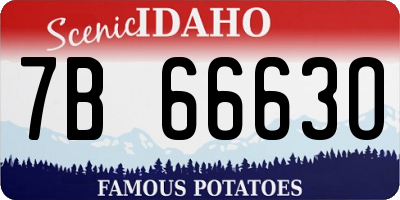 ID license plate 7B6663O
