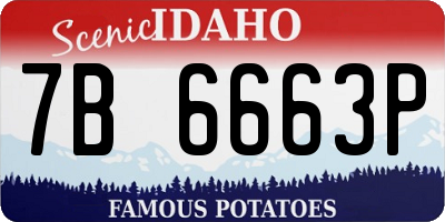 ID license plate 7B6663P