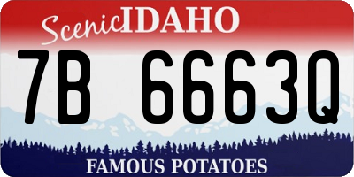 ID license plate 7B6663Q