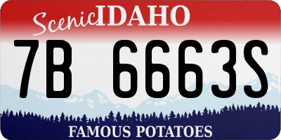 ID license plate 7B6663S