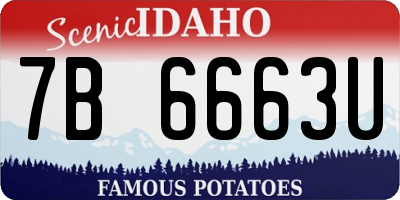 ID license plate 7B6663U