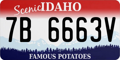 ID license plate 7B6663V