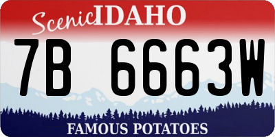 ID license plate 7B6663W