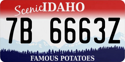 ID license plate 7B6663Z