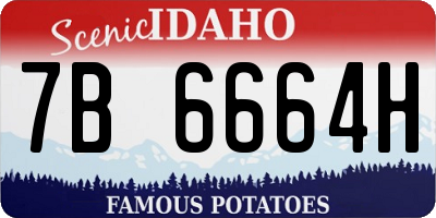 ID license plate 7B6664H