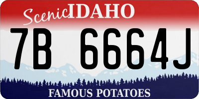 ID license plate 7B6664J