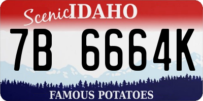 ID license plate 7B6664K