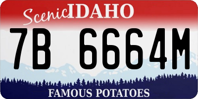 ID license plate 7B6664M