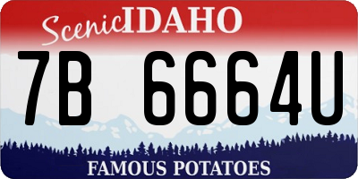 ID license plate 7B6664U