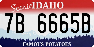ID license plate 7B6665B