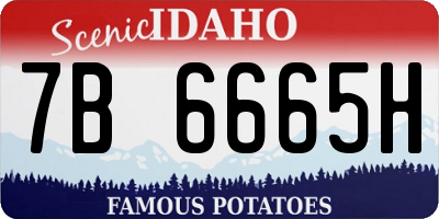ID license plate 7B6665H