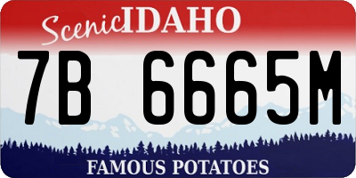 ID license plate 7B6665M
