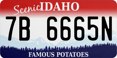 ID license plate 7B6665N