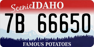 ID license plate 7B6665O