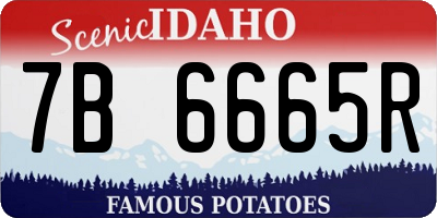 ID license plate 7B6665R