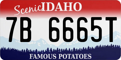 ID license plate 7B6665T