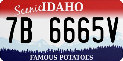ID license plate 7B6665V