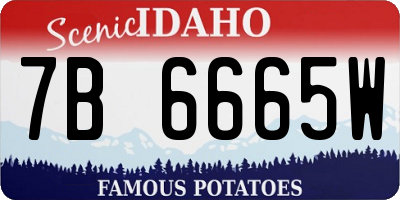 ID license plate 7B6665W
