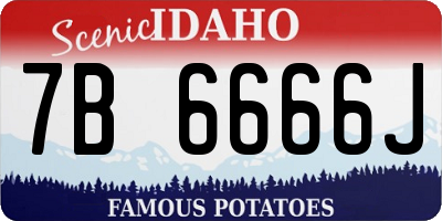 ID license plate 7B6666J