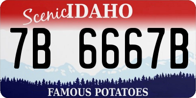 ID license plate 7B6667B