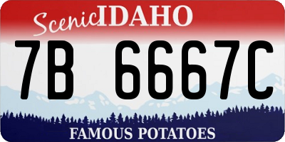 ID license plate 7B6667C