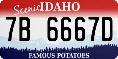 ID license plate 7B6667D
