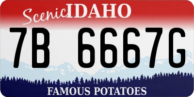 ID license plate 7B6667G
