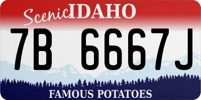 ID license plate 7B6667J