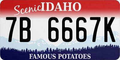 ID license plate 7B6667K