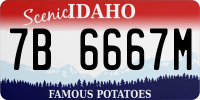 ID license plate 7B6667M