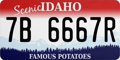 ID license plate 7B6667R