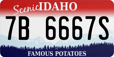 ID license plate 7B6667S