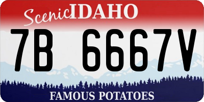 ID license plate 7B6667V