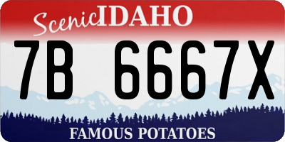 ID license plate 7B6667X