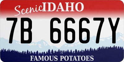 ID license plate 7B6667Y