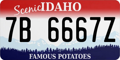 ID license plate 7B6667Z