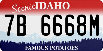 ID license plate 7B6668M