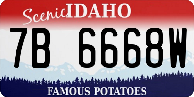 ID license plate 7B6668W