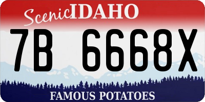 ID license plate 7B6668X