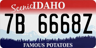 ID license plate 7B6668Z