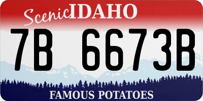 ID license plate 7B6673B