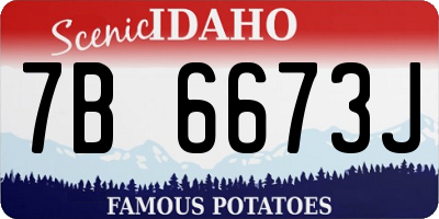 ID license plate 7B6673J