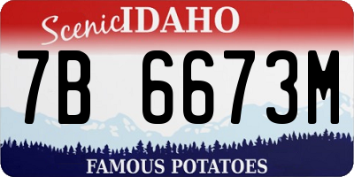 ID license plate 7B6673M